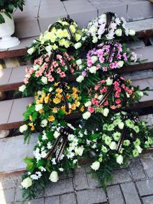 Sēru floristika 5